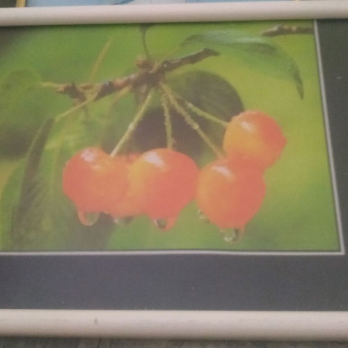 Retro frame used from the 80s decade