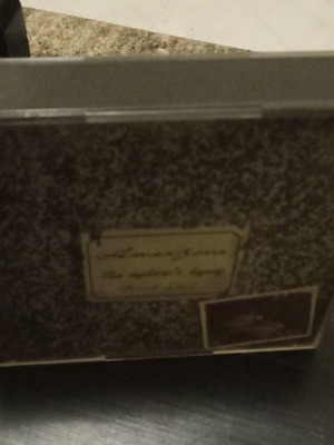 Amerzone: The Explorer's Legacy PC game used