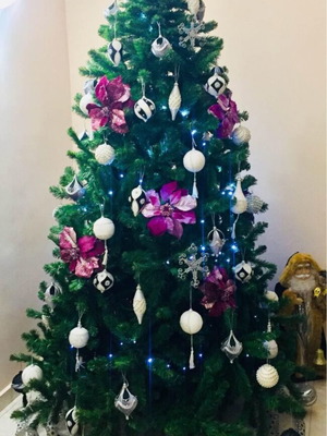 Christmas tree used, height 210cm