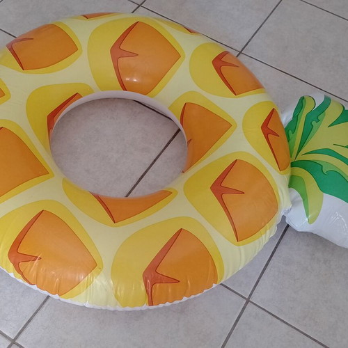 Inflatable Pineapple Swim Ring and Used Foot Pump