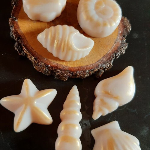 Seashells wax melts with citrus sea salt breeze scent, pack of 7