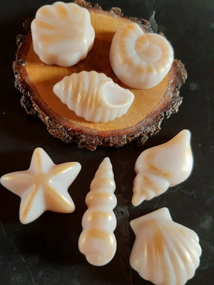 Seashells wax melts with citrus sea salt breeze scent, pack of 7