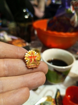 Collector's badge from the socialist era new