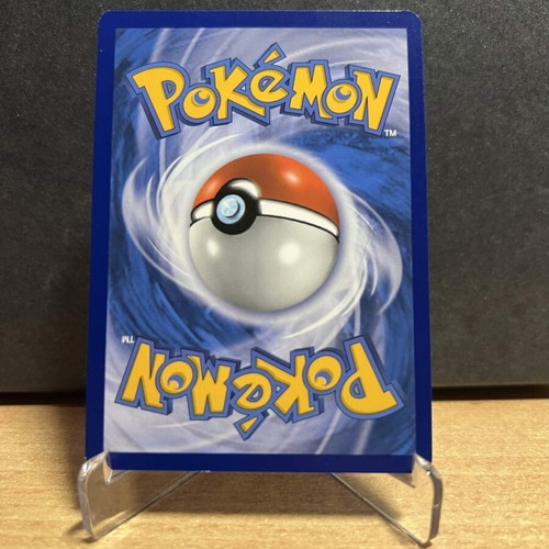 Nita (TEU 180) Team Up Singles Trainer Pokémon Card new