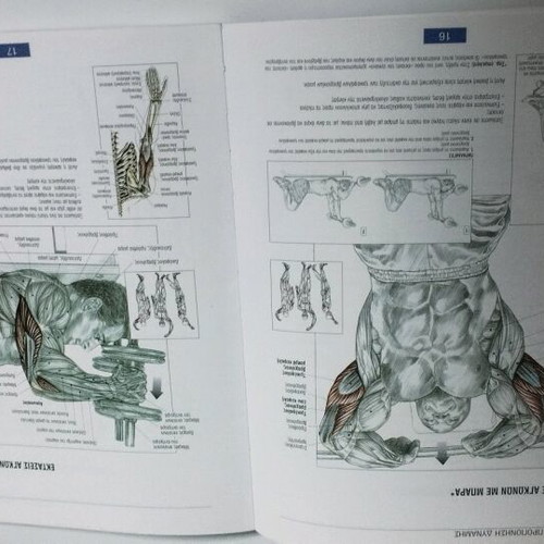 Book Training for Muscle Strength Increase like new