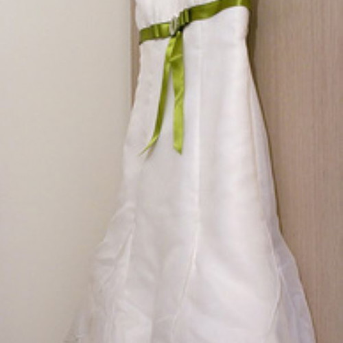 Pronovias Barcelona Dango wedding dress like new with elegant simple design