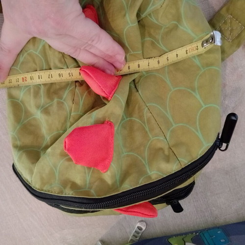 Insulated lunch bag and small backpack like new