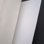 Crime in Britain used book