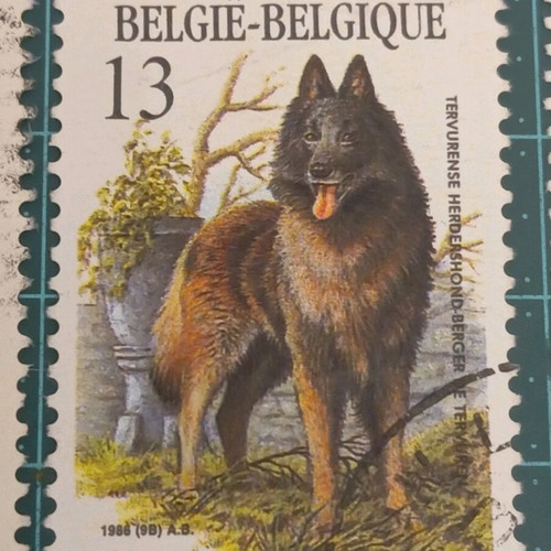 Belgium stamps 1986 like new, dog breeds