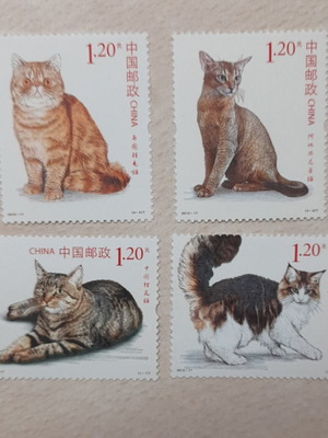 Postage stamps China 2013 cats like new