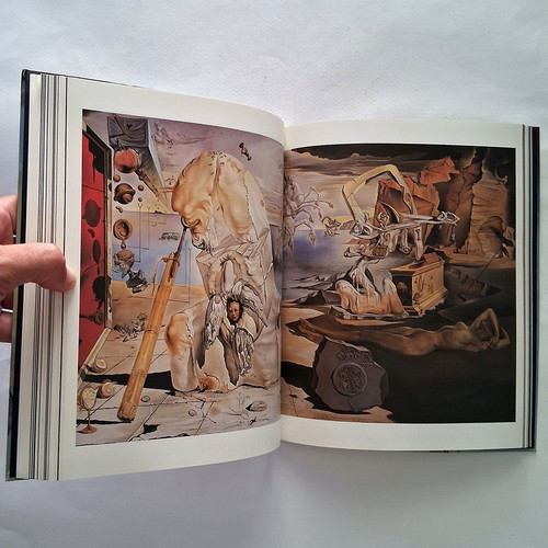 Salvador Dali Taschen art book used