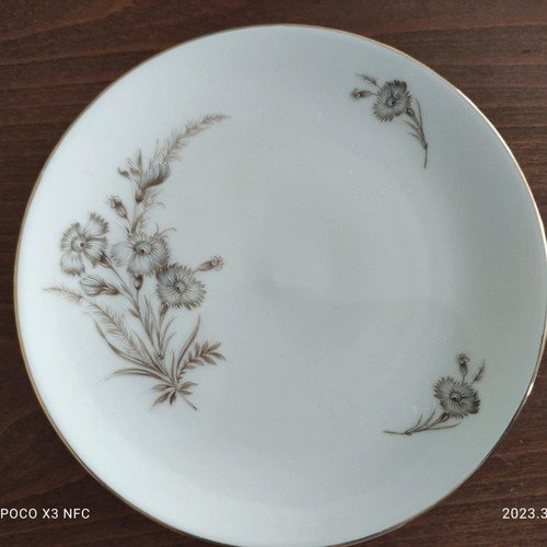 Schumaan German porcelain plates new, set of 6 pieces