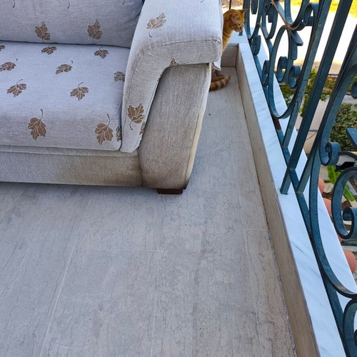 2-seater and 3-seater sofas, light fabric with leaf pattern
