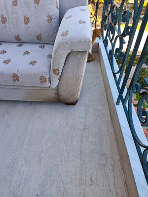 2-seater and 3-seater sofas, light fabric with leaf pattern