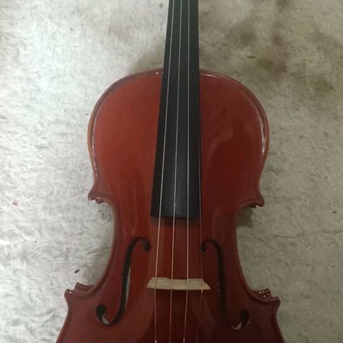 Stentor 4/4 violin like new with case and accessories