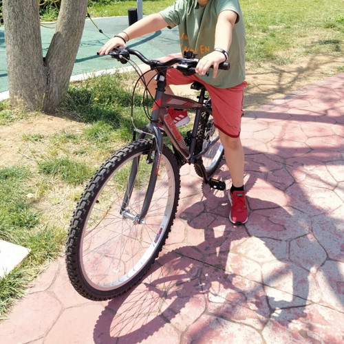 Alpina Alpha Mountain Bike like new, 24 inch, 21-speed Shimano