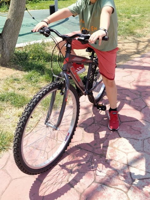 Alpina Alpha Mountain Bike like new, 24 inch, 21-speed Shimano