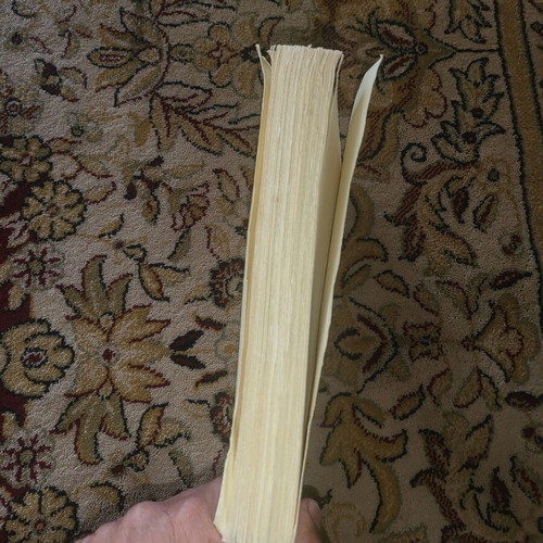Book I Zoi En Tafo used