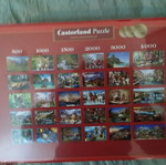 Puzzle 1000 pieces June Flowers Castorland new