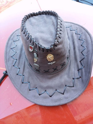 Hat brown XL with 8 pins like new