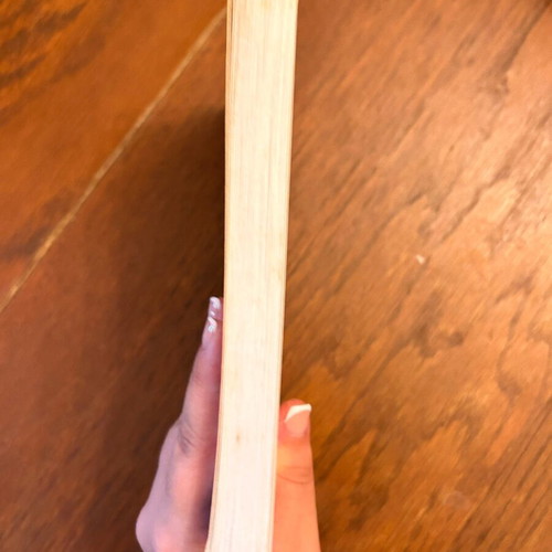 The Mystery of Tak Tak book used