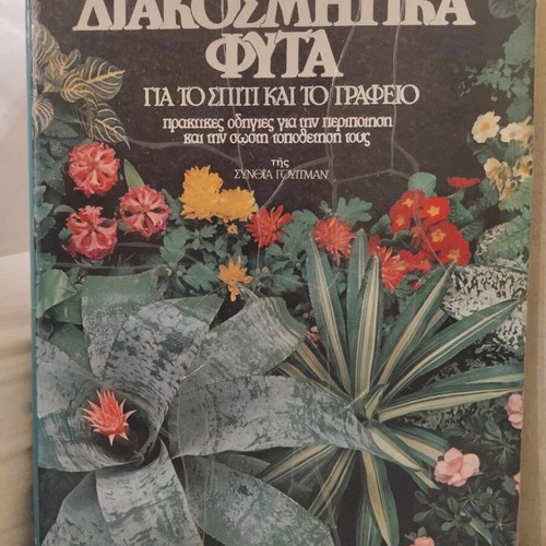 Decorative Plants for Home and Office like new