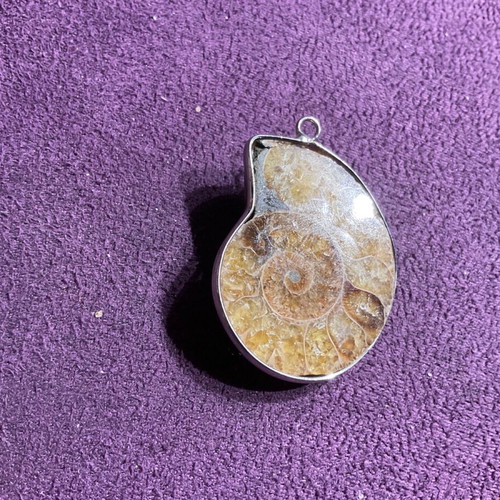 Ammonite pendant new