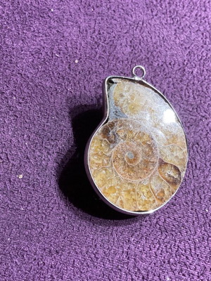 Ammonite pendant new