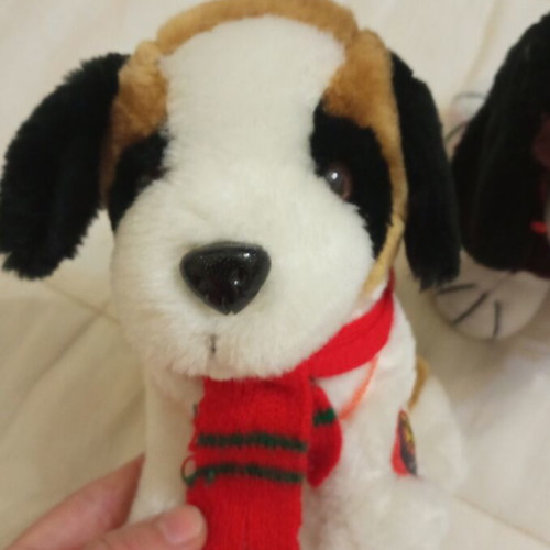 Plush dog set used, pack of 2