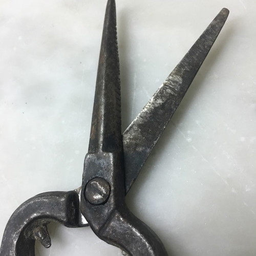 Vintage agricultural tools with grafting knife, farmer's pocket knife and pruning shears