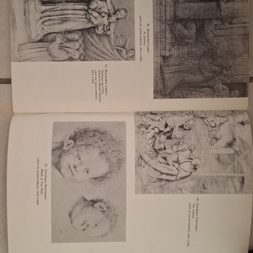 Master Drawings of the Italian Renaissance book like new, 1950 edition