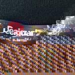  Φούστα Desigual, Large