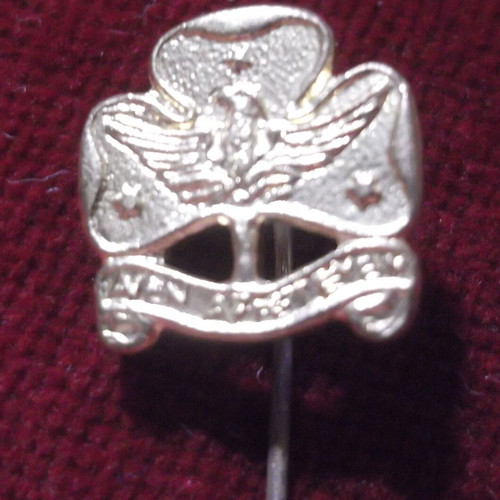 Scouting Pin like new, gold color, rising phoenix, "ΑΙΕΝ ΑΡΙΣΤΕΥΕΙΝ"