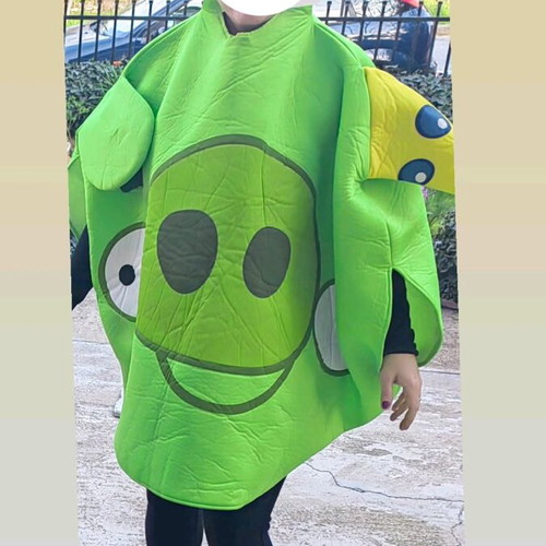 Angry Birds piglet carnival costume like new