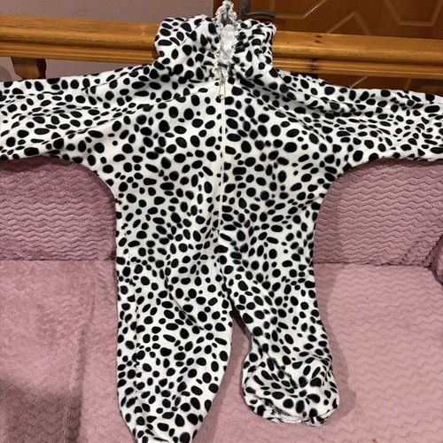 Dog costume like new for 2-3 years old