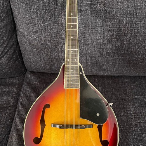Cort flat mandolin like new with case