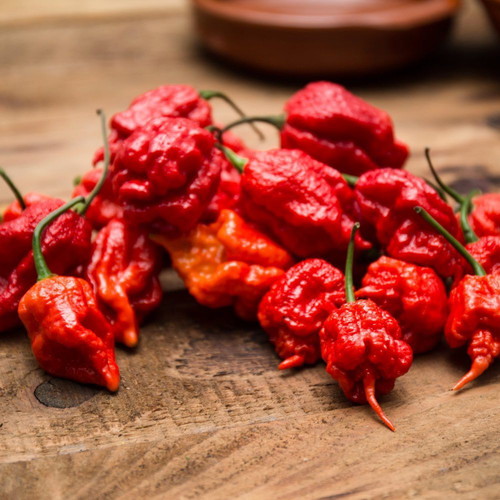 Carolina Reaper pepper seeds, pack of 20, extremely hot
