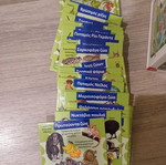 BrainBox Nature educational game new