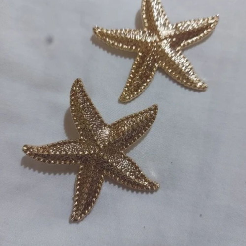 Earrings new pair starfish design