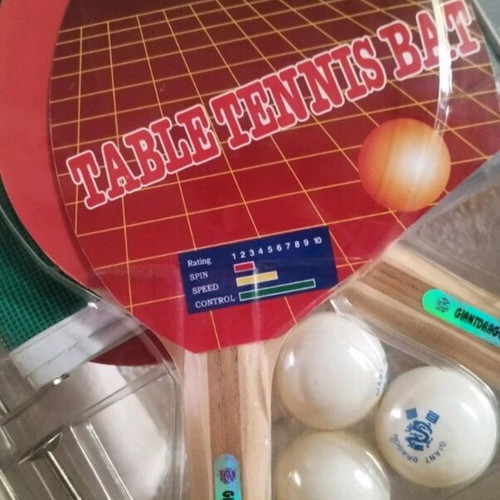 Wooden Ping Pong Set with 2-Star Table Tennis Bats, Net and Balls