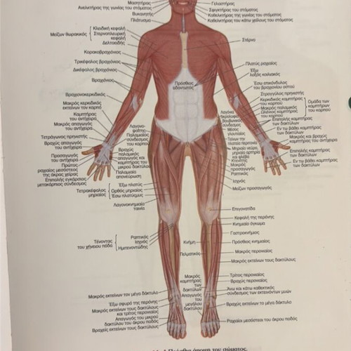 Kinesiology book like new, Greek language