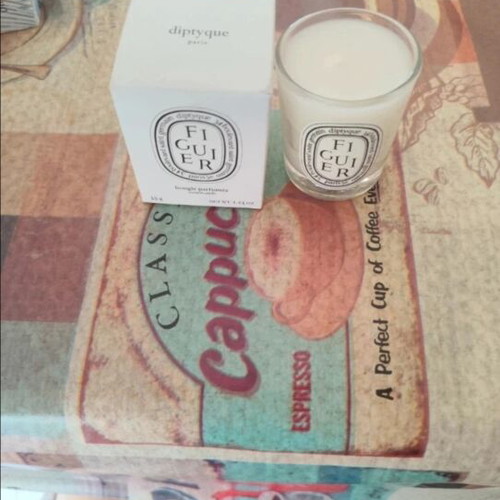 Figuier 35gr Candle new