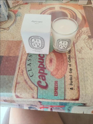 Figuier 35gr Candle new