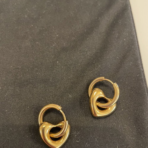 Gold-plated stainless steel earrings