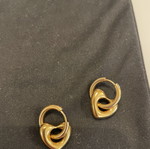 Gold-plated stainless steel earrings