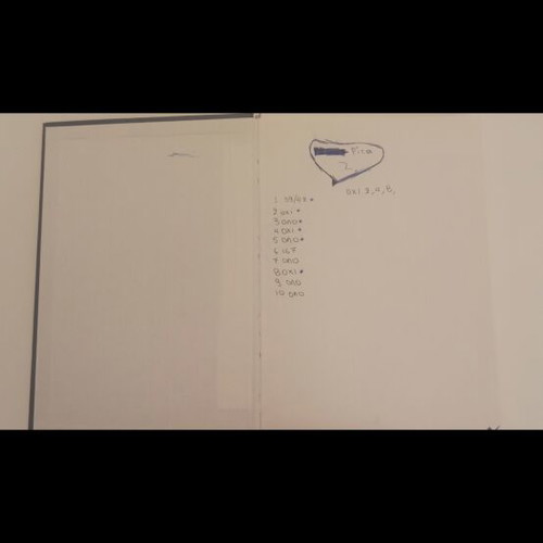 Basic Nursing Theoretical and Ethical Principles used