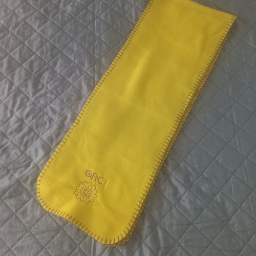 Children's scarf like new, light green by Orchestra