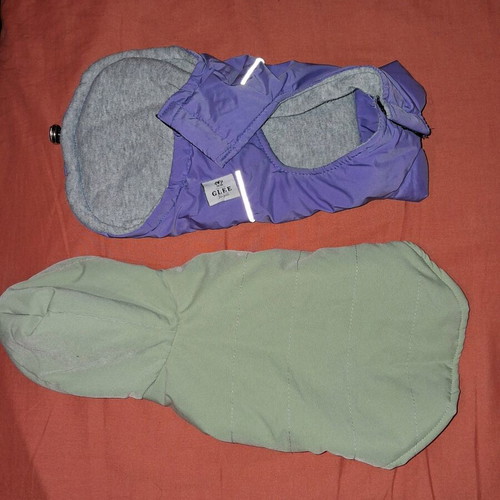 Glee dog jacket set used in purple and green S&M sizes