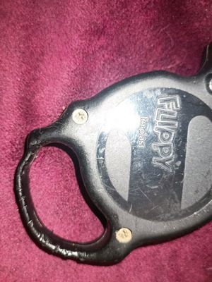Leash for small dog used