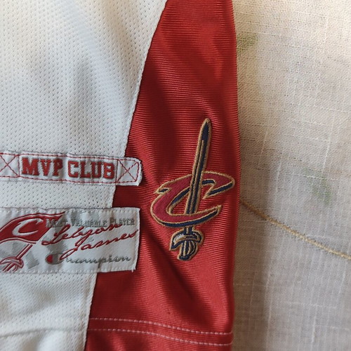 LeBron James Cleveland Cavaliers Retro Basketball Jersey size S like new